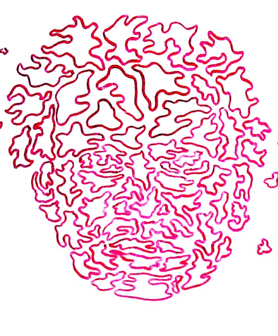 8.ZeusRedPuzzleFaceEtcContext1 copy.jpeg